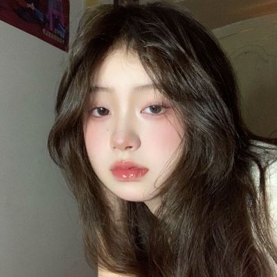 潜入行动全人物破解版下载